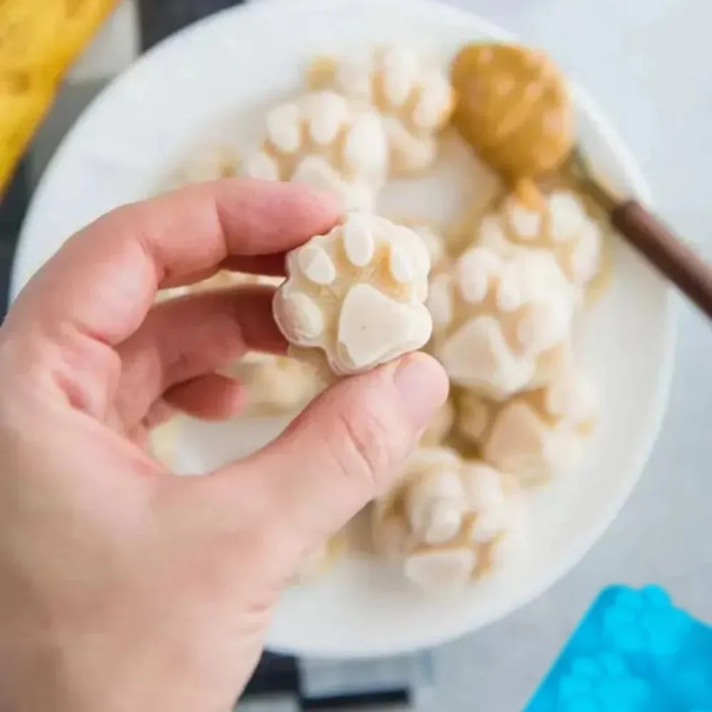 Homepet™️ |Een heerlijke versierde lunch speciaal voor je huisdier!