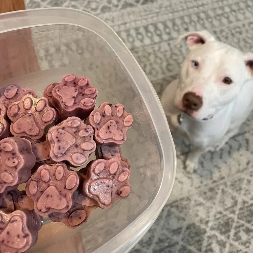 Homepet™️ |Een heerlijke versierde lunch speciaal voor je huisdier!